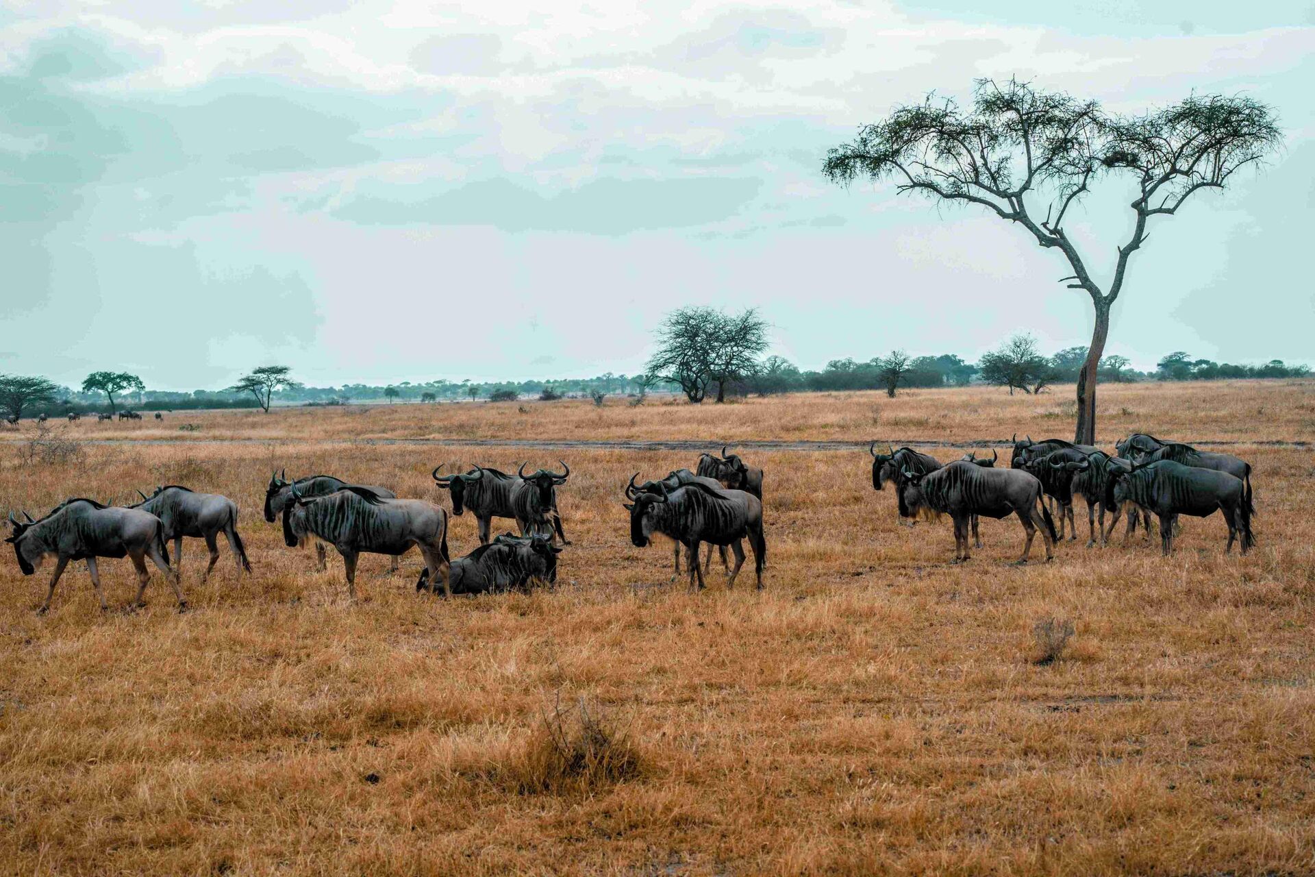 Arusha National Park