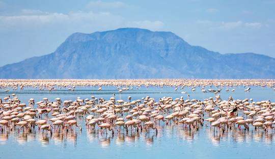 Vast salt flats and flamingos at Lake Natron