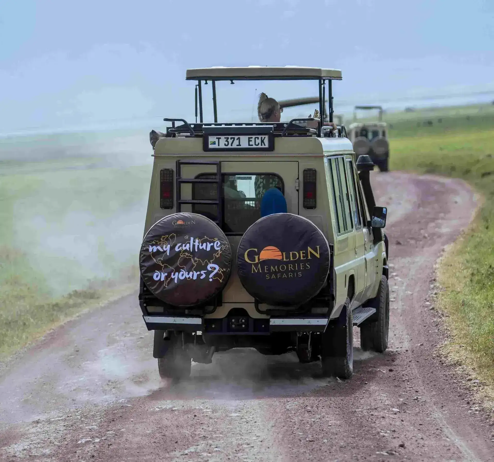 Tanzania safari booking