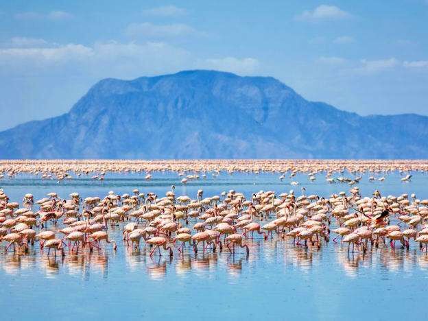 Lake Natron