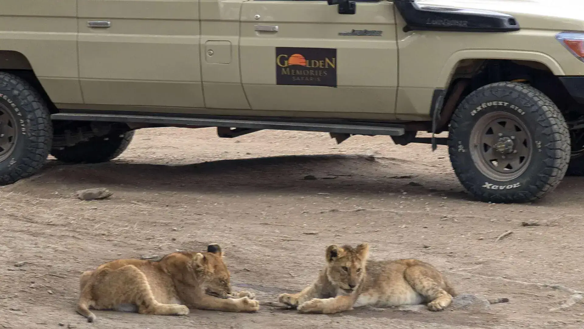 Tanzania Safari Cost: Budget, Mid-Range & Luxury Pricing Guide