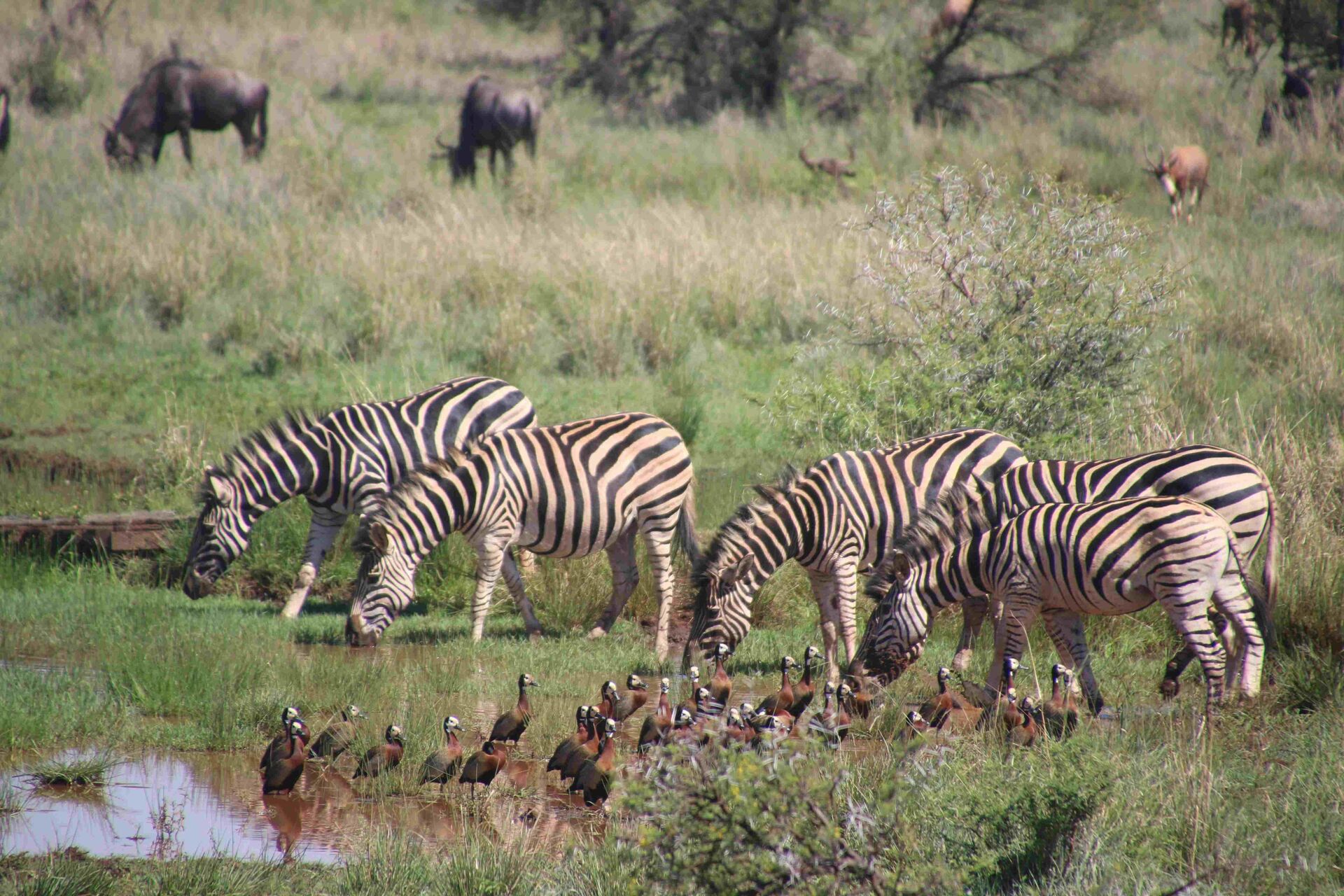 Serengeti National Park