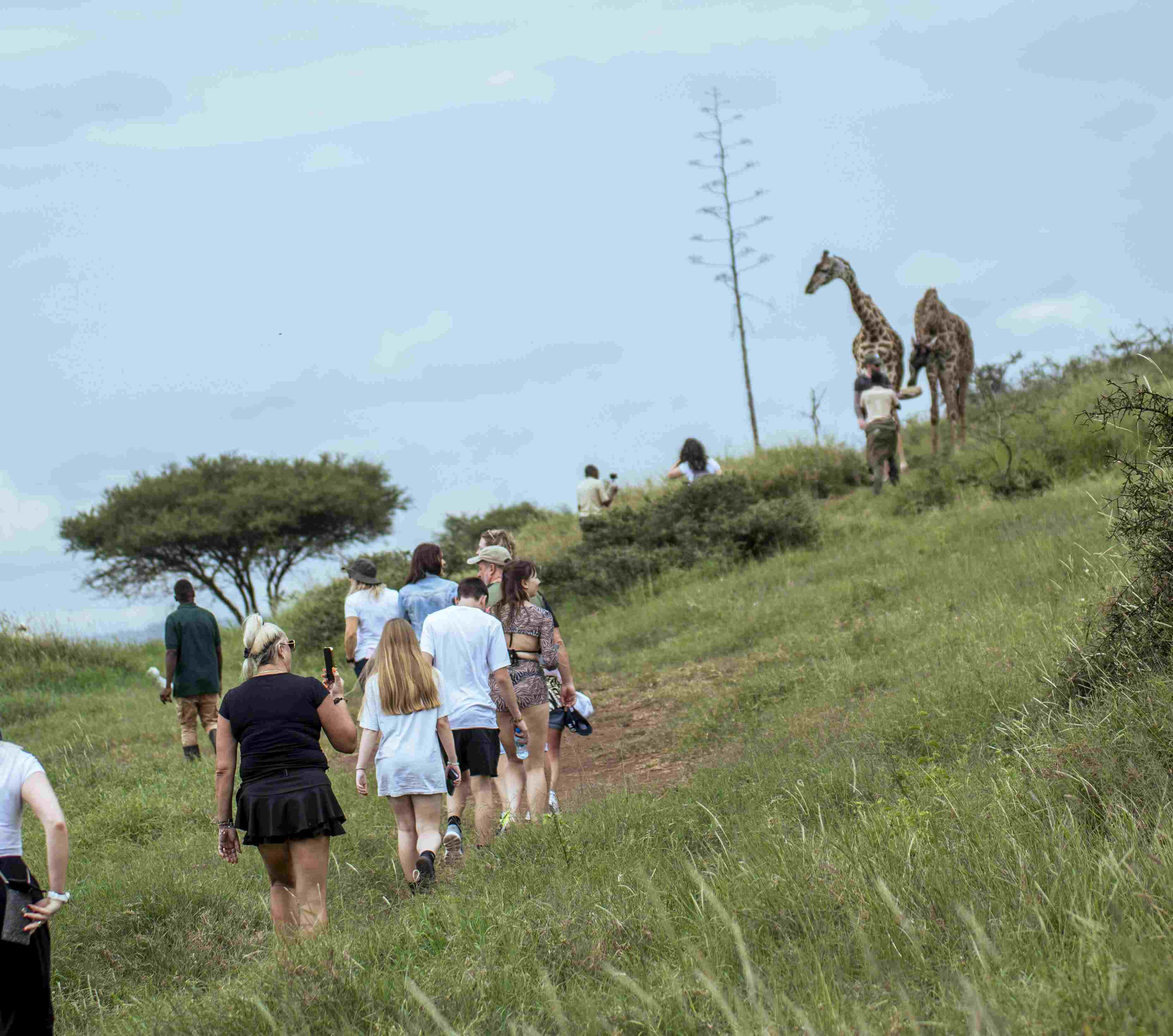 Guide explaining about an animal to visitors at Serval Wildlife